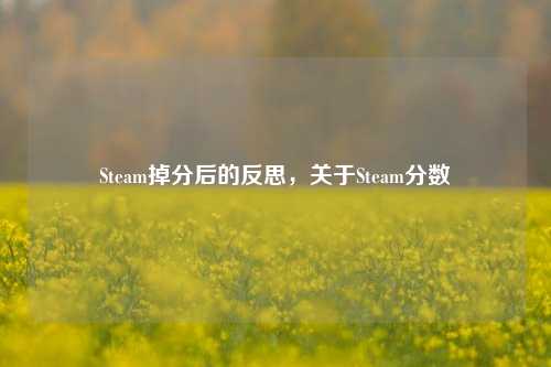 Steam掉分后的反思，关于Steam分数