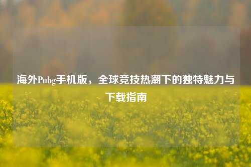 海外Pubg手机版，全球竞技热潮下的独特魅力与下载指南