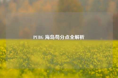 PUBG 海岛苟分点全解析
