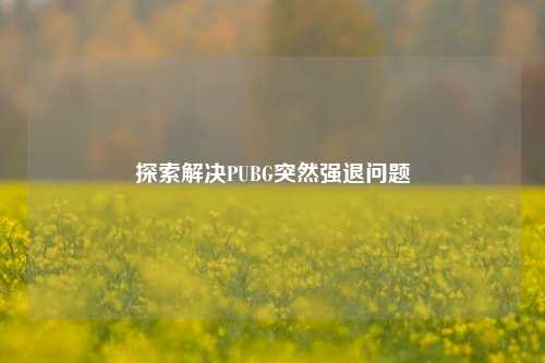 探索解决PUBG突然强退问题