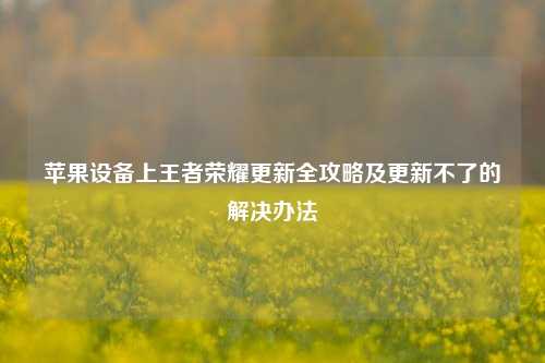 苹果设备上王者荣耀更新全攻略及更新不了的解决办法