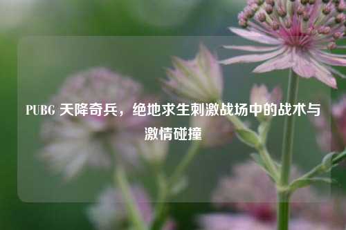 PUBG 天降奇兵，绝地求生 *** 战场中的战术与 *** 碰撞