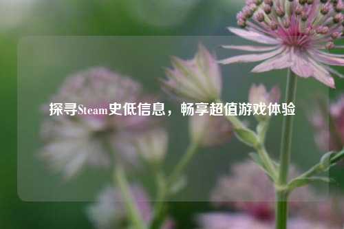 探寻Steam史低信息，畅享超值游戏体验