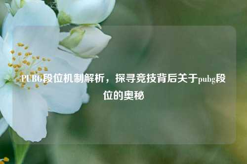 PUBG段位机制解析，探寻竞技背后关于pubg段位的奥秘