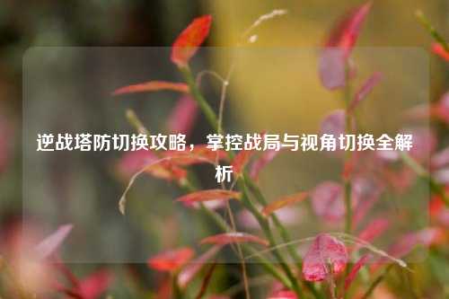 逆战塔防切换攻略，掌控战局与视角切换全解析