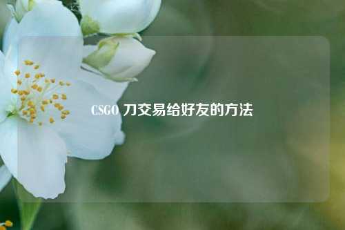 CSGO 刀交易给好友的 *** 