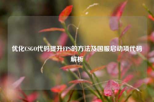 优化CSGO代码提升FPS的 *** 及国服启动项代码解析