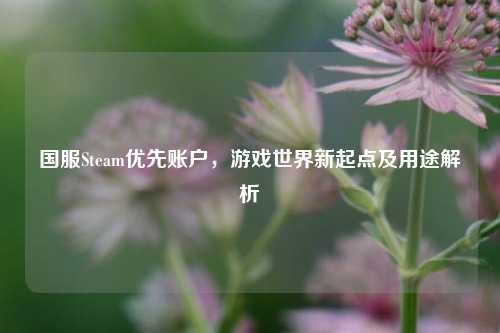 国服Steam优先账户，游戏世界新起点及用途解析