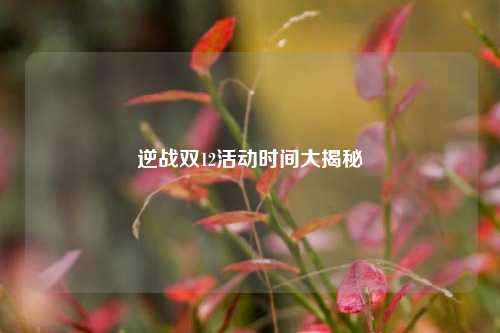 逆战双12活动时间大揭秘
