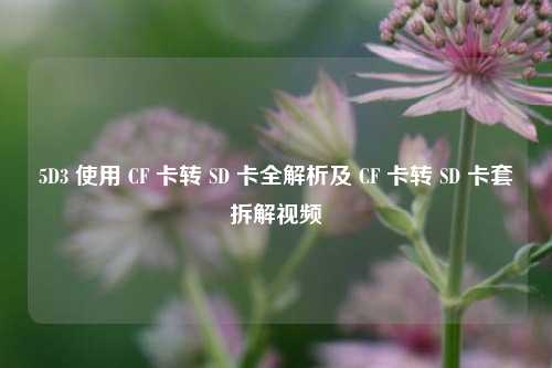 5D3 使用 CF 卡转 SD 卡全解析及 CF 卡转 SD 卡套拆解视频
