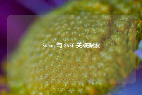Steam 与 SASC 关联探索