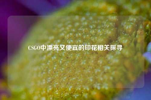CSGO中漂亮又便宜的印花相关探寻