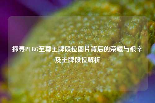 探寻PUBG至尊王牌段位图片背后的荣耀与艰辛及王牌段位解析