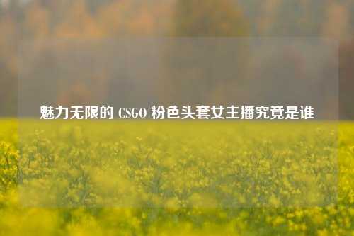 魅力无限的 CSGO 粉色头套女主播究竟是谁