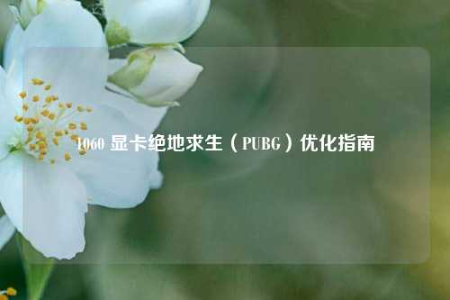1060 显卡绝地求生(PUBG)优化指南