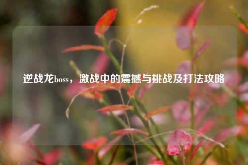 逆战龙boss，激战中的震撼与挑战及打法攻略