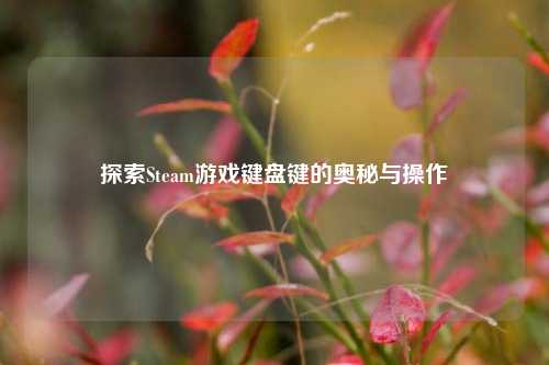 探索Steam游戏键盘键的奥秘与操作