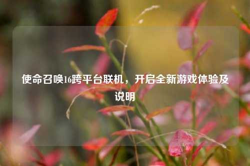 使命召唤16跨平台联机，开启全新游戏体验及说明