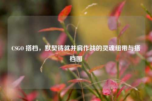 CSGO 搭档,默契铸就并肩作战的灵魂纽带与搭档图