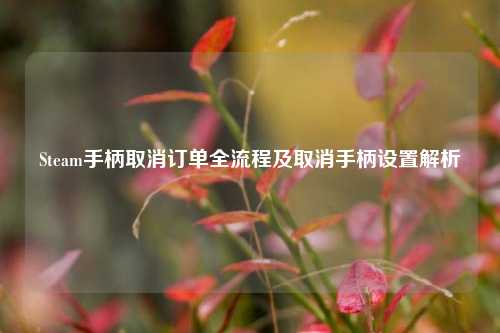 Steam手柄取消订单全流程及取消手柄设置解析