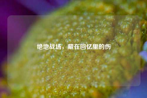 绝地战场,藏在回忆里的伤