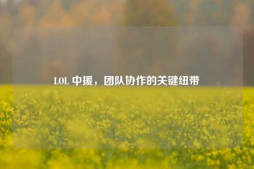 LOL 中援，团队协作的关键纽带