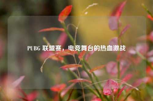 PUBG 联盟赛，电竞舞台的热血激战