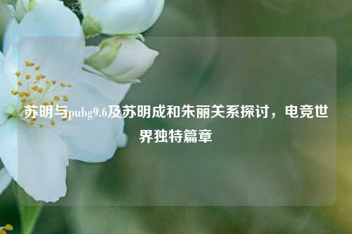 苏明与pubg9.6及苏明成和朱丽关系探讨,电竞世界独特篇章