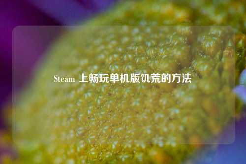 Steam 上畅玩单机版饥荒的 *** 
