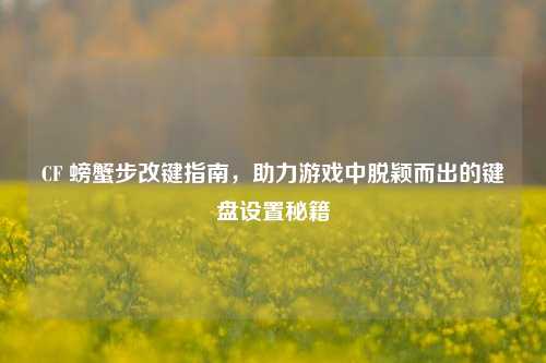 CF 螃蟹步改键指南，助力游戏中脱颖而出的键盘设置秘籍