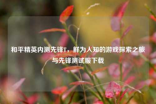 和平精英内测先锋T,鲜为人知的游戏探索之旅与先锋测试服下载