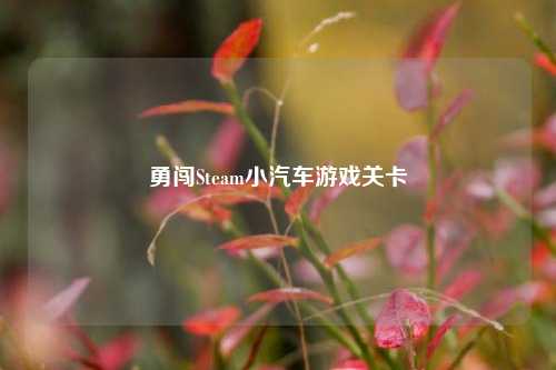 勇闯Steam小汽车游戏关卡