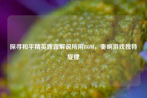 探寻和平精英露露解说所用BGM，奏响游戏独特旋律
