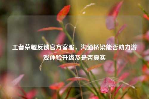 王者荣耀反馈官方客服，沟通桥梁能否助力游戏体验升级及是否真实