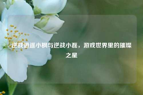 逆战逍遥小枫与逆战小磊,游戏世界里的璀璨之星