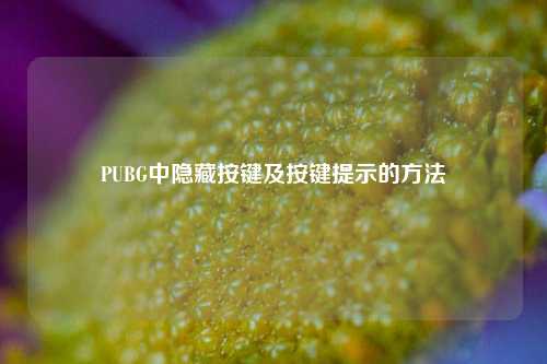 PUBG中隐藏按键及按键提示的 ***