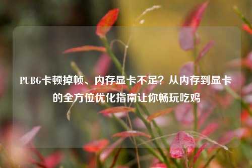 PUBG卡顿掉帧、内存显卡不足?从内存到显卡的全方位优化指南让你畅玩吃鸡